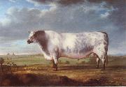 A Prize Bull, Thomas Alder